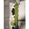 UCHWYT KABLOWY na kabel YDYp 2.5mm2 Szary