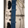 UCHWYT KABLOWY na kabel YDYp 2.5mm2 Niebieski zestaw 100szt.