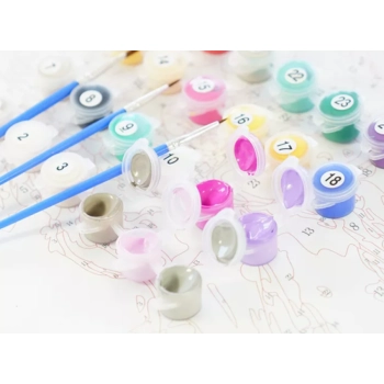 OBRAZ DO MALOWANIA PO NUMERACH Z RAMĄ 40X50 NR 7416